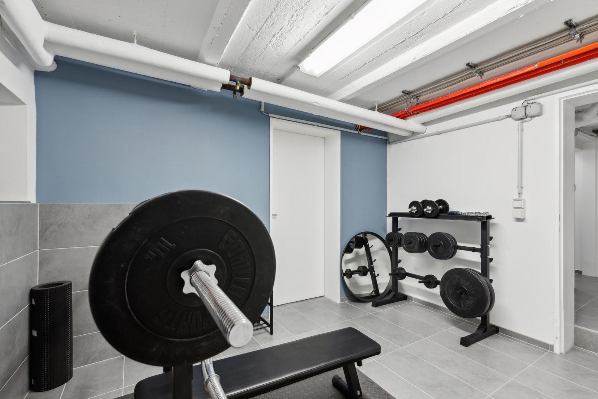 Modern Living - Basf - Ma - Pfalz - 1 Gym 2 Working Spaces Ludwigshafen am Rhein Exteriör bild